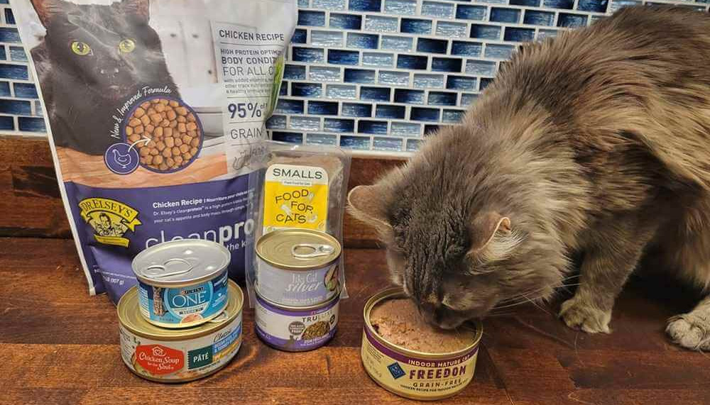 Mascota Suministros Ventas 1 Mascota Suministros Ventas -Mascota Suministros Ventas 1