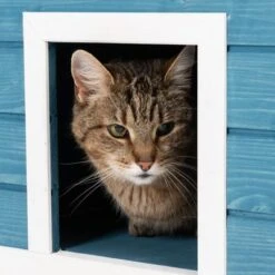 Casita Penthouse Para Mascotas 36 Casita Penthouse Para Mascotas -Mascota Suministros Ventas 100914 katzenhaus penthouse fg 4388 8