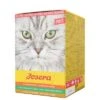 Josera Paté Multipack Para Gatos 1 Josera Paté Multipack Para Gatos -Mascota Suministros Ventas 104021 pla foodforplanet josera pate multipack 6x70g hs 01 1