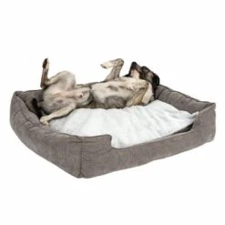 Cama Austin Para Perros 28 Cama Austin Para Perros -Mascota Suministros Ventas 111542 hundebett mem foam austin fg 0510 2