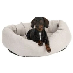 Cama Modern Living Bailey Para Perros 16 Cama Modern Living Bailey Para Perros -Mascota Suministros Ventas 111544 hundebett baily fg 0614 5