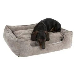 Cama Austin Para Perros 23 Cama Austin Para Perros -Mascota Suministros Ventas 111704 hundebett mem foam austin fg 0633 3