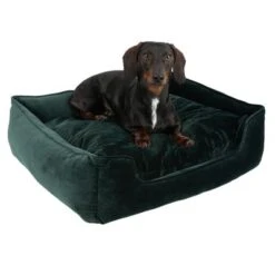Cama Modern Living Fern Para Perros 19 Cama Modern Living Fern Para Perros -Mascota Suministros Ventas 111707 hundebett fern fg 0620 4