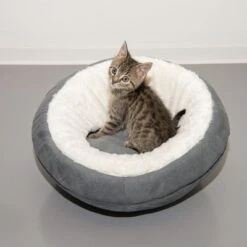 Cueva Ellora Para Gatos Y Perros Pequeños -Mascota Suministros Ventas 116107 und katze fg 5030 9