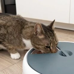 Alimentador Automático Noma 28 Alimentador Automático Noma -Mascota Suministros Ventas 116296 futterautomat noma fg 9445 3