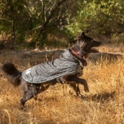 Chubasquero KONG Elements Negro Para Perros -Mascota Suministros Ventas 130697 paw kong elements regenmantel schwarz 30kg hs 04 8