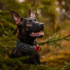 Rukka® Cube Soft Collar, Rojo / Negro -Mascota Suministros Ventas 139798 lfashion rukka cube soft halsband rot hs 03 8