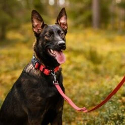 Rukka® Cube Soft Collar, Rojo / Negro -Mascota Suministros Ventas 139798 lfashion rukka cube soft halsband rot hs 06 0