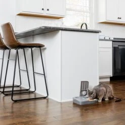 Comedero Automático Doble PetSafe® Para Mascotas -Mascota Suministros Ventas 145997 rasiosystems petsafe futterautomat 2mahlzeiten catdog 2x355xml hs 11 4