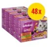 Whiskas Tasty Mix 48 X 85 G Pack Mixto En Bolsitas