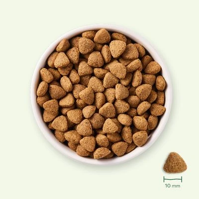 Yarrah Pienso Vegetariano Y Ecológico Para Perros 5 Yarrah Pienso Vegetariano Y Ecológico Para Perros - Imagen 3