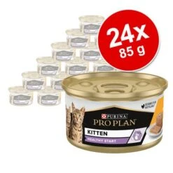 PURINA PRO PLAN Kitten Healthy Start 24 X 85 G En Latas 17 PURINA PRO PLAN Kitten Healthy Start 24 X 85 G En Latas -Mascota Suministros Ventas 171799 purina proplan cat kitten 85g hs 03 5