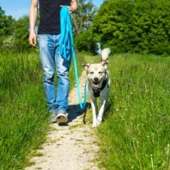 Petlando Correa Larga Para Perros Pawz & Pepper Strong Azul 14 Petlando Correa Larga Para Perros Pawz & Pepper Strong Azul -Mascota Suministros Ventas 174796 174797 pawznpepper schleppleine rund geflochten blau hs 05 6