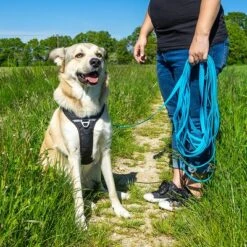 Petlando Correa Larga Para Perros Pawz & Pepper Strong Azul 16 Petlando Correa Larga Para Perros Pawz & Pepper Strong Azul -Mascota Suministros Ventas 174796 174797 pawznpepper schleppleine rund geflochten blau hs 06 9