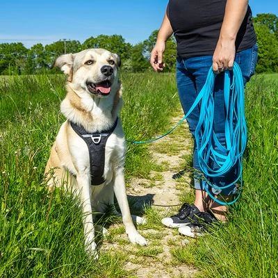 Petlando Correa Larga Para Perros Pawz & Pepper Strong Azul 9 Petlando Correa Larga Para Perros Pawz & Pepper Strong Azul - Imagen 7