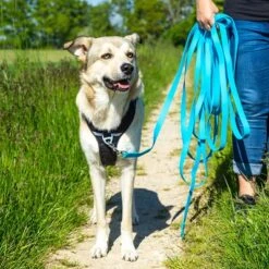 Mascota Suministros Ventas -Mascota Suministros Ventas 174796 174797 pawznpepper schleppleine rund geflochten blau hs 07 6