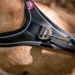 Arnés Curli Belka Comfort Negro Para Perros 20 Arnés Curli Belka Comfort Negro Para Perros -Mascota Suministros Ventas 176034 curli belka comfort geschirr schwarz hs 10 7