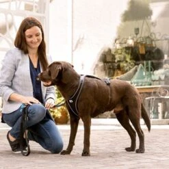 Arnés Curli Belka Comfort Negro Para Perros 24 Arnés Curli Belka Comfort Negro Para Perros -Mascota Suministros Ventas 176034 curli belka comfort geschirr schwarz hs 11 2