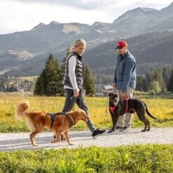 Arnés Curli Belka Comfort Negro Para Perros 16 Arnés Curli Belka Comfort Negro Para Perros -Mascota Suministros Ventas 176034 curli belka comfort geschirr schwarz hs 12 7