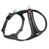 Arnés Curli Belka Comfort Negro Para Perros