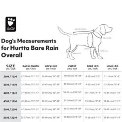 Chubasquero Bare Berry Hurtta Para Perros 23 Chubasquero Bare Berry Hurtta Para Perros -Mascota Suministros Ventas 186544 186545 186546 186547 186548 186549 hurtta forzooplus bare regenoverall berry hs 08 3