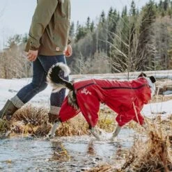Chubasquero Bare Berry Hurtta Para Perros 20 Chubasquero Bare Berry Hurtta Para Perros -Mascota Suministros Ventas 186544 186545 186546 186547 186548 186549 hurtta forzooplus bare regenoverall berry hs 09 6
