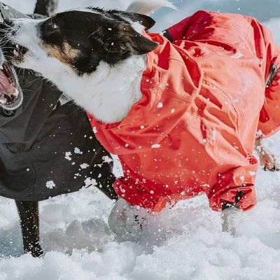 Chubasquero Bare Berry Hurtta Para Perros 12 Chubasquero Bare Berry Hurtta Para Perros - Imagen 10