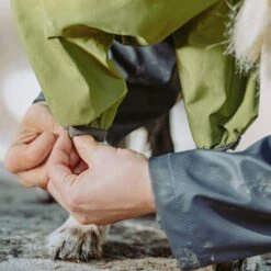 Chubasquero Bare Pine Hurtta Para Perros -Mascota Suministros Ventas 188303 188304 188305 188396 186542 186543 hurtta forzooplus bare regenoverall pine hs 07 8