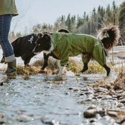 Chubasquero Bare Pine Hurtta Para Perros -Mascota Suministros Ventas 188303 188304 188305 188396 186542 186543 hurtta forzooplus bare regenoverall pine hs 09 1