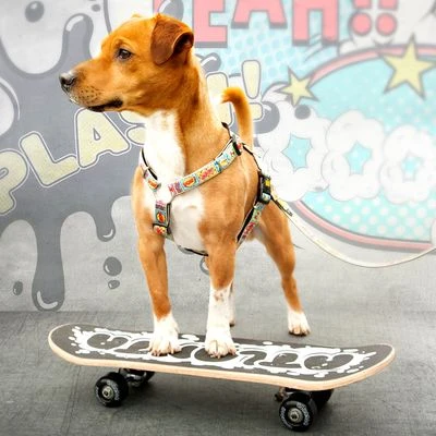 Arnés Max & Molly Cómic Para Perros 9 Arnés Max & Molly Cómic Para Perros - Imagen 7