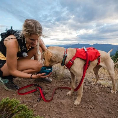 Arnés Ruffwear Switchbank Rojo Para Perros - Imagen 3