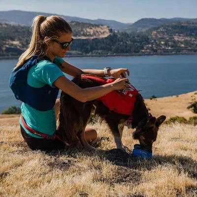Arnés Ruffwear Switchbank Rojo Para Perros - Imagen 10