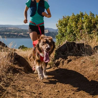 Arnés Ruffwear Switchbank Rojo Para Perros - Imagen 12