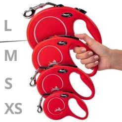 Correa Extensible Flexi New Classic Con Cinta De 5 M 13 Correa Extensible Flexi New Classic Con Cinta De 5 M -Mascota Suministros Ventas 198003 flexi new classic gurt leine s schwarz hs4 3