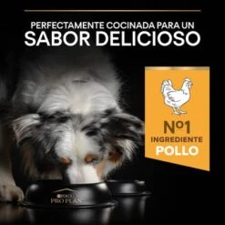 PURINA PRO PLAN Medium & Large Adult 7+ Age Defence -Mascota Suministros Ventas 1 44152668 es es 221230 1 5