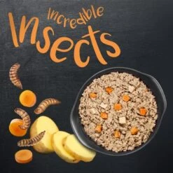 Greenwoods Insects Insectos Con Patatas Y Zanahorias 9 Greenwoods Insects Insectos Con Patatas Y Zanahorias -Mascota Suministros Ventas 1 greenwoods insects board 2