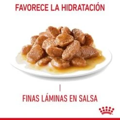 Royal Canin Appetite Control En Salsa -Mascota Suministros Ventas 1 rc fcn appetitecontrolgravy 7 es es 6