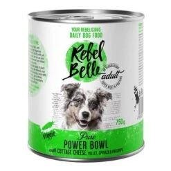Rebel Belle Adult Comida Vegetariana Y Vegana Para Perros - Pack Mixto 27 Rebel Belle Adult Comida Vegetariana Y Vegana Para Perros - Pack Mixto -Mascota Suministros Ventas 1 rebelbelle adult power 750g 1000x1000 2