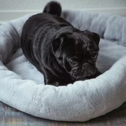 Cama Térmica HAFENBANDE Flory 19 Cama Térmica HAFENBANDE Flory -Mascota Suministros Ventas 200322 waagenschmitt hafenbande heizmatte flory hs 11 8