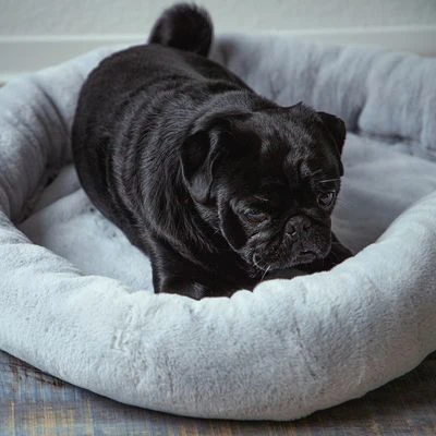 Cama Térmica HAFENBANDE Flory 8 Cama Térmica HAFENBANDE Flory - Imagen 6