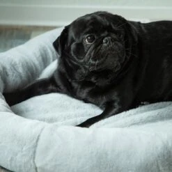 Cama Térmica HAFENBANDE Flory 17 Cama Térmica HAFENBANDE Flory -Mascota Suministros Ventas 200322 waagenschmitt hafenbande heizmatte flory hs 12 1