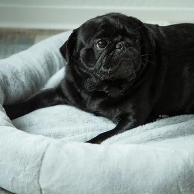 Cama Térmica HAFENBANDE Flory 6 Cama Térmica HAFENBANDE Flory - Imagen 4