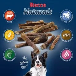 PROMO: 100 Uds. X Rocco Nervio De Buey 12 Cm 11 PROMO: 100 Uds. X Rocco Nervio De Buey 12 Cm -Mascota Suministros Ventas 2019 09 rocco naturals pizzle 1000x1000 es 7