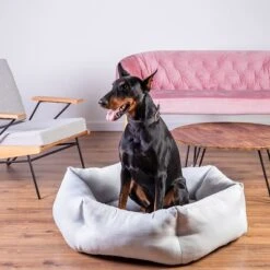 Cama Alexandria Modern Living Para Perros 17 Cama Alexandria Modern Living Para Perros -Mascota Suministros Ventas 203426 203425 geop zooplusexclusive hundebett alexandria hs 15 5
