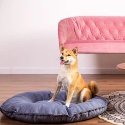 Cama Kapstadt 2 En 1 Modern Living Para Mascotas -Mascota Suministros Ventas 203436 geop katzenbett kapstadt 2in1 hs 01 1