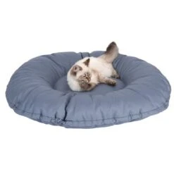 Cama Kapstadt 2 En 1 Modern Living Para Mascotas -Mascota Suministros Ventas 203436 kapstadt und katze fg 9820 4