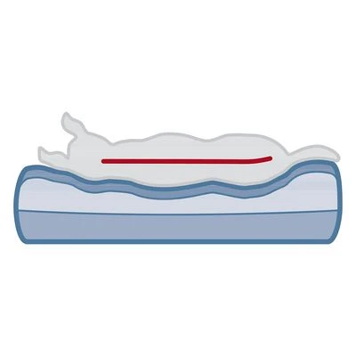 Cama Ortopédica Trixie Vital Sofa Bendson Para Perros 14 Cama Ortopédica Trixie Vital Sofa Bendson Para Perros - Imagen 12