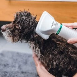 Cepillo Trixie De Aire Caliente -Mascota Suministros Ventas 212217 trixie warmluftbuerste 300w hs 19 8