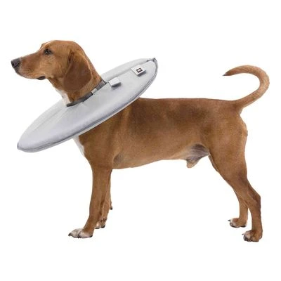 Collar Isabelino Trixie Para Perros - Imagen 4