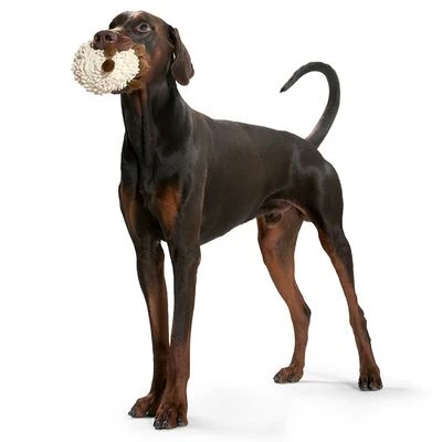 Oveja HUNTER Snugly Juguete Para Perros 4 Oveja HUNTER Snugly Juguete Para Perros - Imagen 2